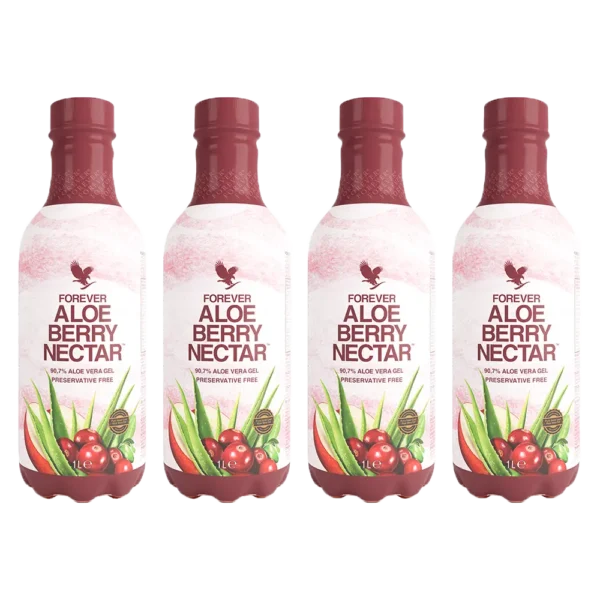 4-Pack Aloe Berry Nectar